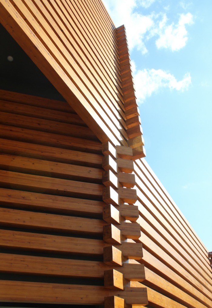 Timber cladding and exposed rafter tails against a blue sky